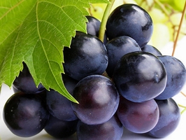 �c���鿴Ԕ��(x��)