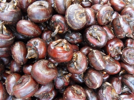 �c���鿴Ԕ��(x��)